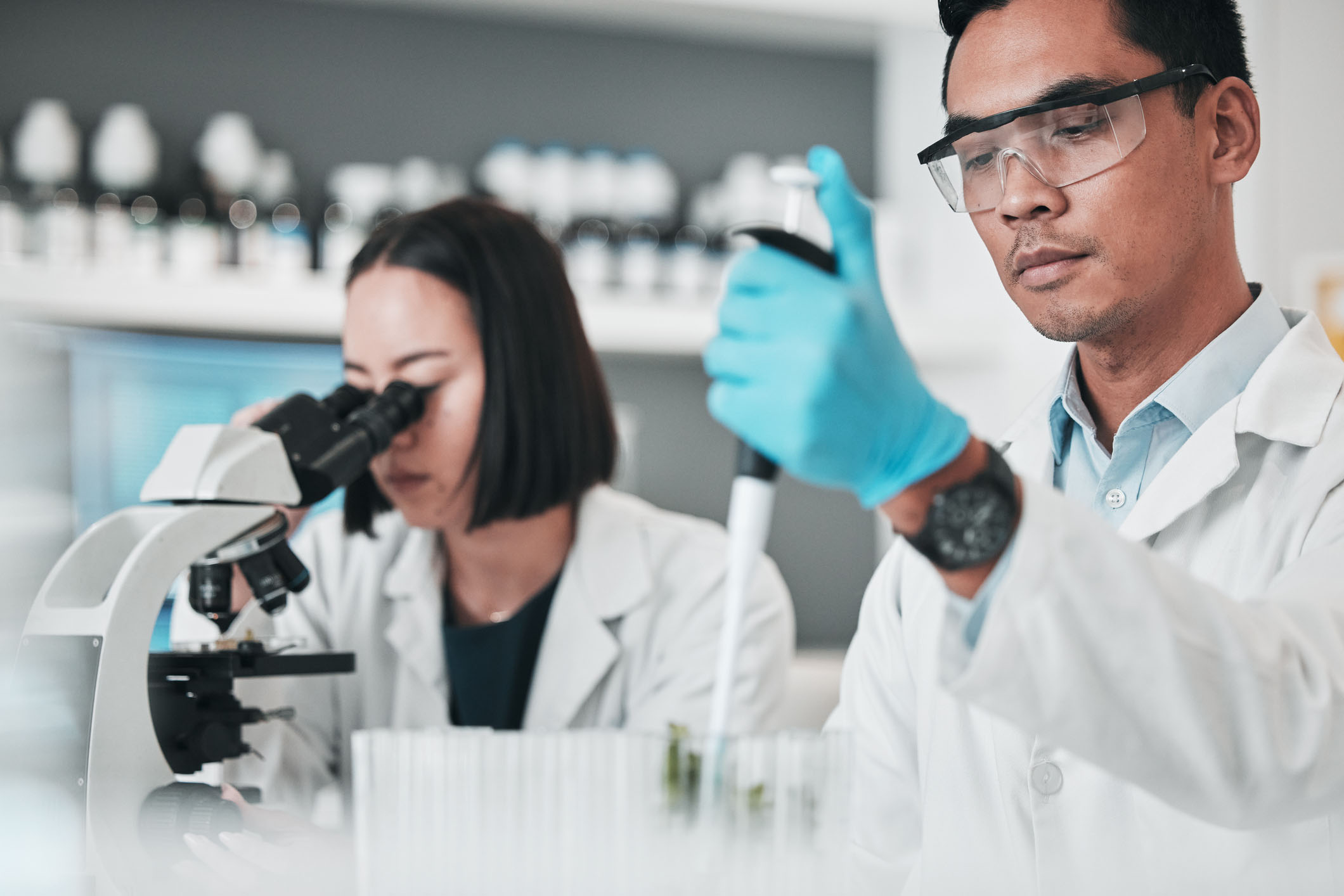 A team of 2 medical researchers enter substance into pipettes and look through a microscope